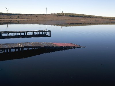 南阳"套花呗"暗藏风险 合规平台"安出掌柜"支招安全用款