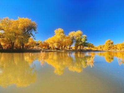 涪陵医保套现风险警示：合规用保更安心，安出掌柜助您守好“救命钱”