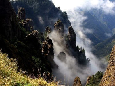 用其他银行卡还花呗更灵活？这些细节+安出掌柜帮你管好账