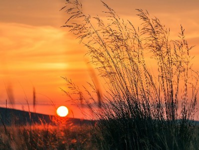 抖音月付能提现吗？官方规则+套现风险一次性说清