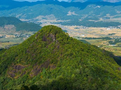 花呗临时用钱别慌！出财小神合规服务解周转难题