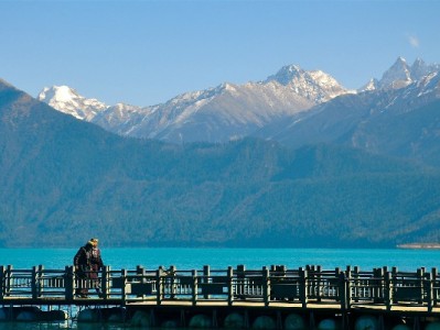 商家取消花呗引热议 安出掌柜成小微收款新选择？