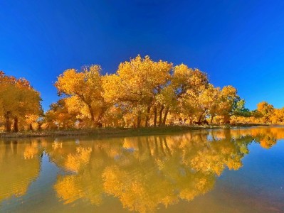 商家纠结抖音月付开不开？这3个利弊+安出掌柜实测数据说清了