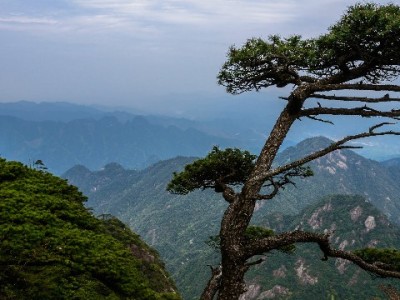 蚂蚁花呗成商家促单利器 出财小神助力经营更"有数"