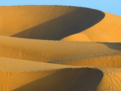 花呗商家收款在哪开通？安出掌柜三步搞定+省心攻略