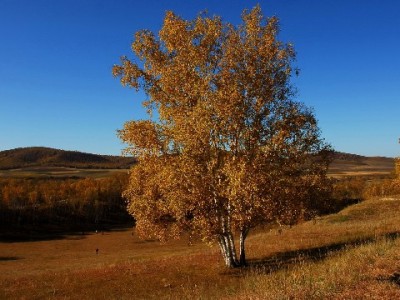 自己给自己花呗提现风险大？这些正规渠道更安心