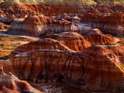 急需周转不用慌！出财小神助力花呗速度提现，安全高效更省心