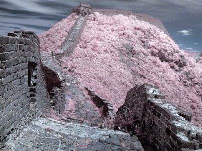 白条额度快速提现攻略：安全高效方法+合规平台推荐