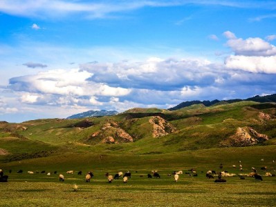 花呗分期只能扫商家码？线上线下使用场景一次说清