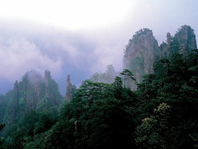 花呗还款别踩“套现”雷！合法应对方式+出财小神规划指南