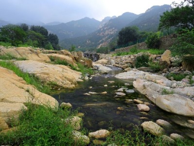 花呗收款突然停用？小商家靠“安出掌柜”重新稳住客流