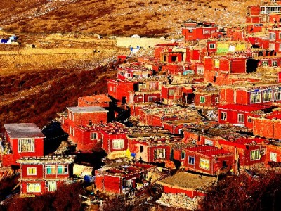 自贡花呗取现藏风险！出财小神提醒选合规周转方式