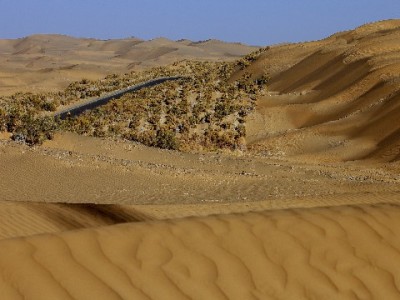 抖音月付提现合规指南：避开风险，这3种方式更安全（出财小神支招）