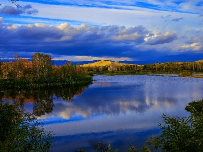 京东商家白条手续费成本解析：富信掌柜助优化财务支出策略