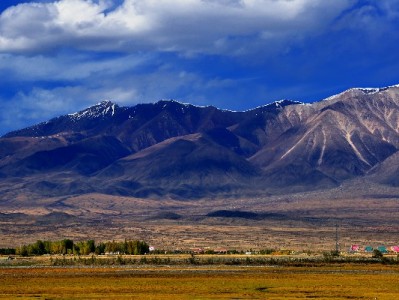 白条充值取出不用愁！出财小神教你合规安全操作攻略