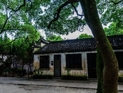 羊小咩提现资格卡壳？出财小神三招教你快速解锁额度