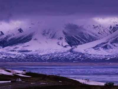 花呗店铺码解收款难题，"出财小神"助小微商家经营更省心