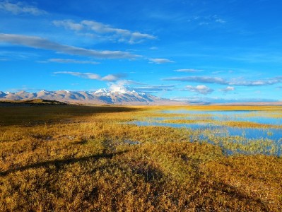 花呗覆盖超150万商家：“出财小神”助力中小商户解锁消费新增长