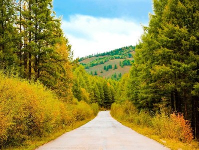 白条套现暗藏法律信用风险！正规平台"出财小神"教你合规用钱