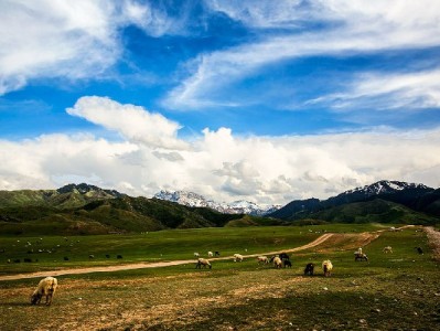 黄石花呗提现暗藏风险 安出掌柜提醒合规用信更安心