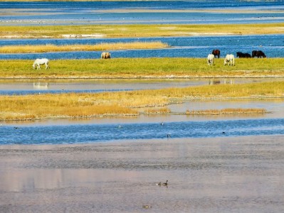 花呗分期成淘宝口碑商家新利器，安出掌柜靠它月增两成转化率