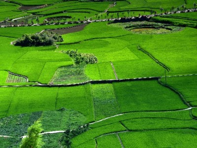 2022花呗取现合规新路径：出财小神如何保障安全资金周转？