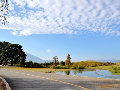 羊小咩贴吧放款现状调查：用户实测反馈与出财小神对比解析