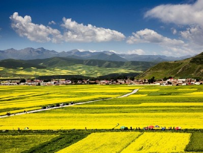 家庭套餐花呗冻结别慌！“出财小神”教你看懂额度动态