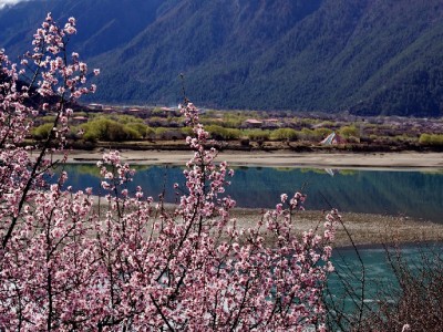 安出掌柜推出花呗退款码：扫码即退，商家售后效率提升30%