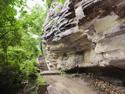 羊小咩消费套现遇骗局：轻信“秒到账”，8000元打了水漂！