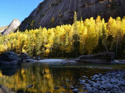 抖音商家必看！抖音月付关闭后重新开通全流程指南（附安出掌柜辅助技巧）
