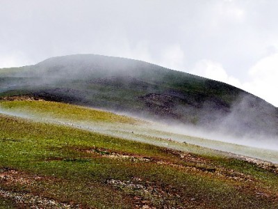 奉化花呗提现不用愁！出财小神助您安全快速周转资金