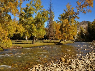 微信花呗快速开通攻略：3步操作+“出财小神”辅助，实测有效