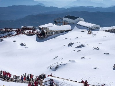 花呗变商家码四大优势：多收快赚，安出掌柜助力小微经营更轻松