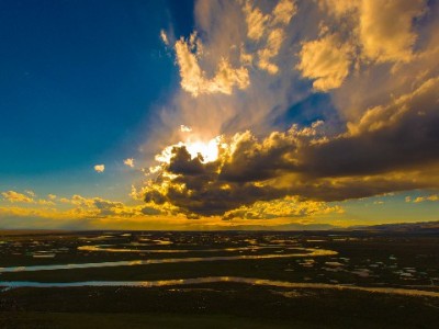 年关大促资金告急？羊小咩出库垫付+安出掌柜组合拳解商家燃眉