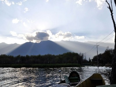 福州花呗"套出"风险多 合规平台"出财小神"教你正确用