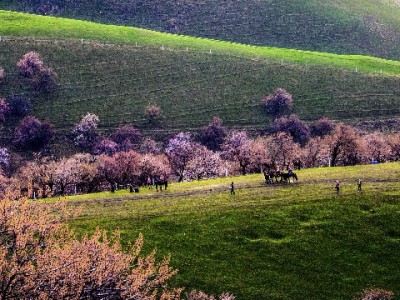 抖音月付合作商家解析：出财小神等五品牌的增长密码