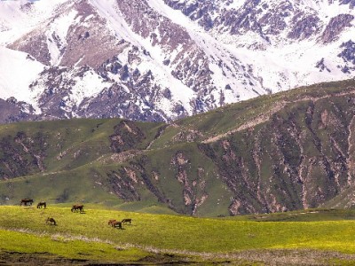 抖音月付商家能用吗？富信掌柜揭秘接入攻略与运营红利