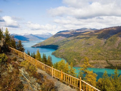 羊小咩提现攻略：官方渠道+合作平台，这些细节别忽略