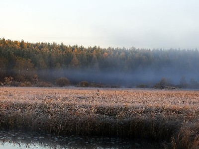 花呗联动“出财小神”！穿联名套装享立减+福袋三重礼