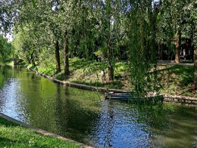 羊小咩套现点位怎么算？三大因素与风险需知（安出掌柜提示）