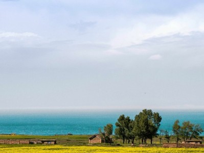 晋江京东白条商家新体验：出财小神解资金周转“急”题