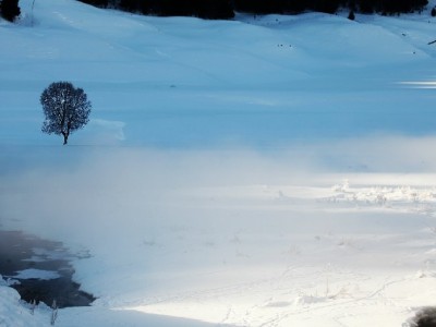 抖音月付钱怎么提？合规操作指南与风险提醒（附平台参考）