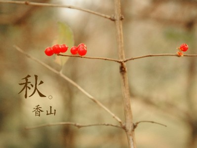 花呗收款被封别焦虑！出财小神专业助力3天恢复经营权限