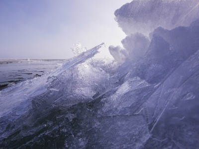 京东白条额度提现怎么操作？安出掌柜提醒合规步骤与风险防范