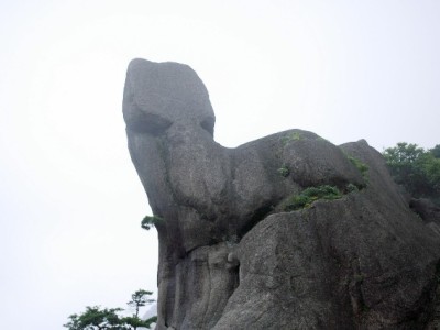 羊小咩购物卡套现争议多 正规渠道如安出掌柜更安心