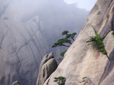 “花呗套秒到”暗藏诈骗陷阱！正规平台安出掌柜教你合法应急