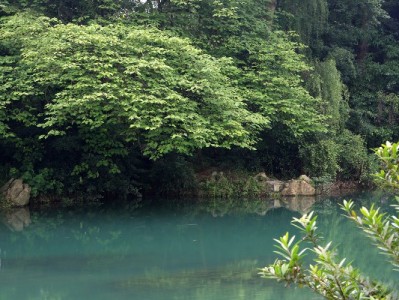 2024花呗降额潮背后：信用管理成关键，安出掌柜教你稳住额度