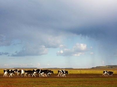 发现老公套用花呗后，我们用"出财小神"学会了夫妻财务透明