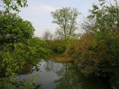 商家开通花呗收款实测：客单价涨30%，这些小技巧让生意更红火